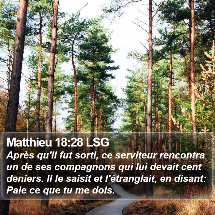 Matthieu 18:28 LSG Bible Study