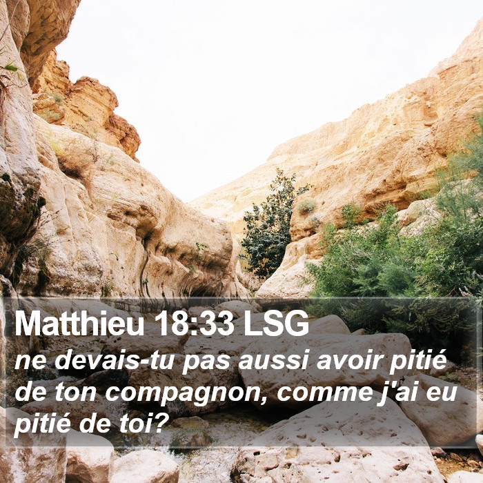Matthieu 18:33 LSG Bible Study