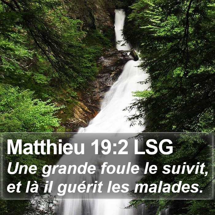 Matthieu 19:2 LSG Bible Study