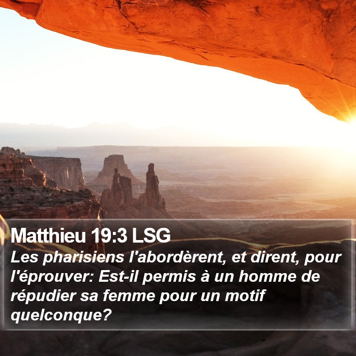 Matthieu 19:3 LSG Bible Study