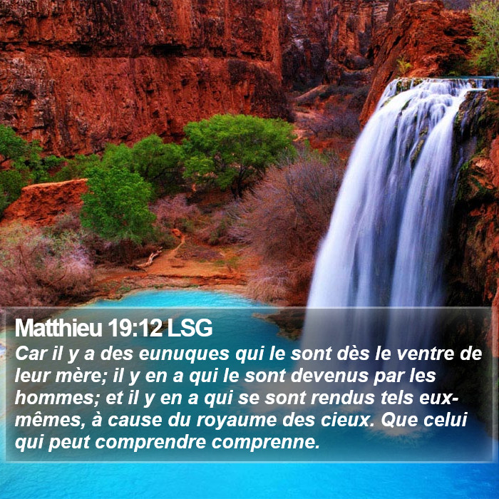 Matthieu 19:12 LSG Bible Study