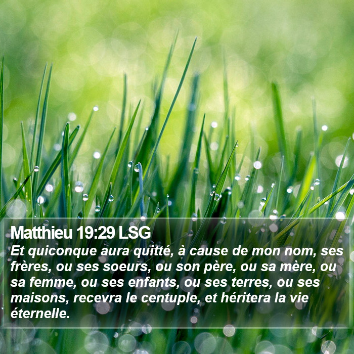 Matthieu 19:29 LSG Bible Study