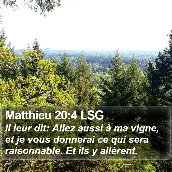 Matthieu 20:4 LSG Bible Study