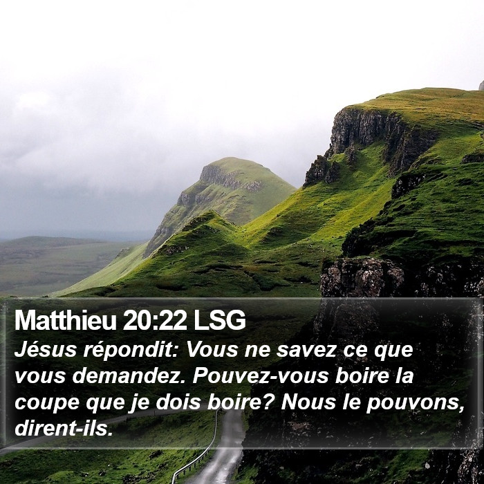 Matthieu 20:22 LSG Bible Study