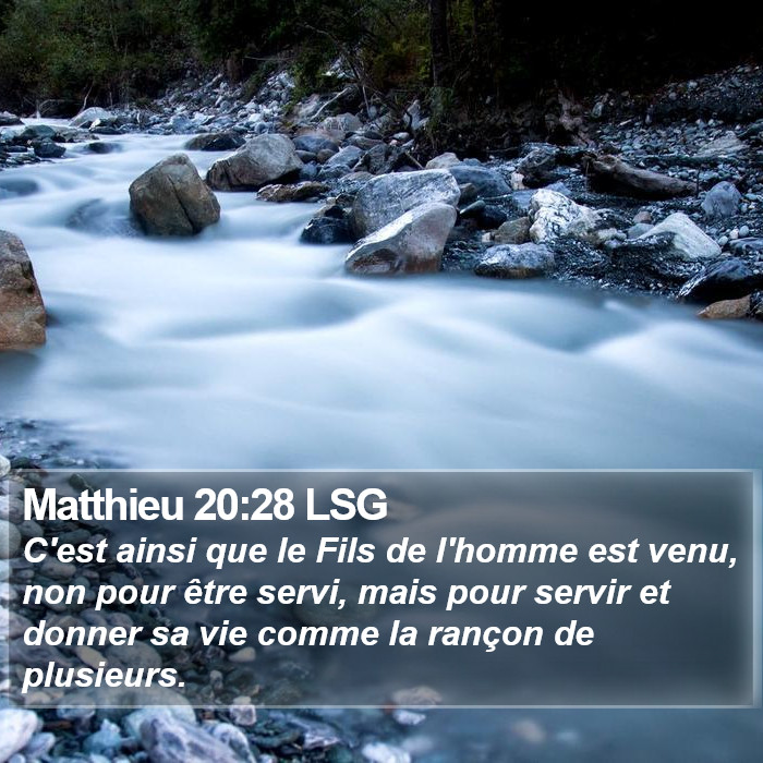 Matthieu 20:28 LSG Bible Study
