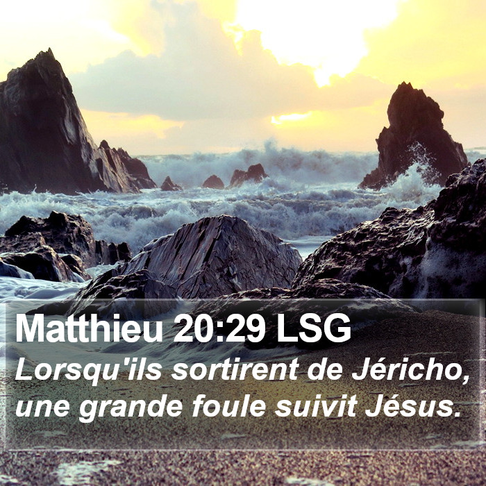 Matthieu 20:29 LSG Bible Study