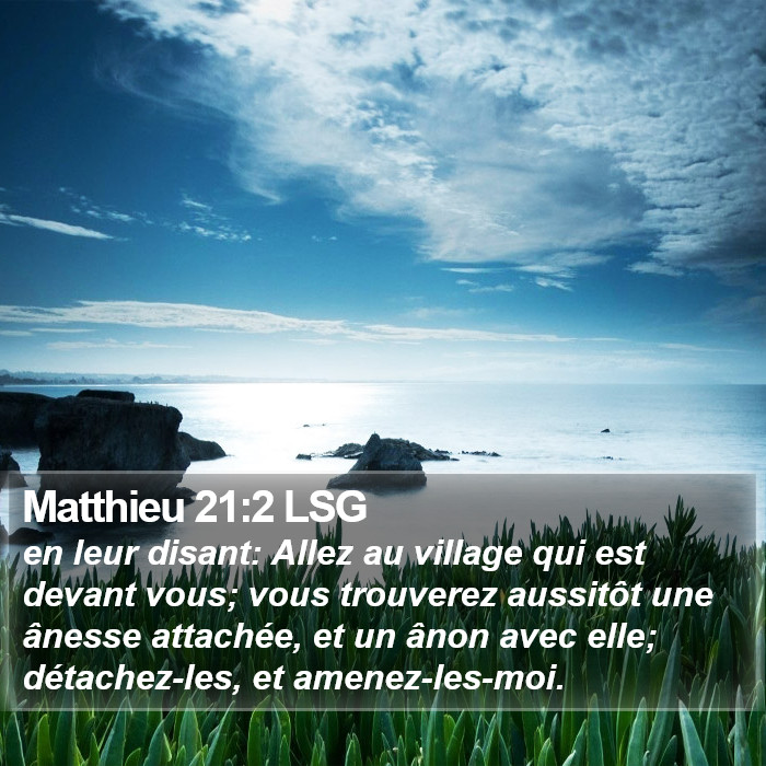 Matthieu 21:2 LSG Bible Study