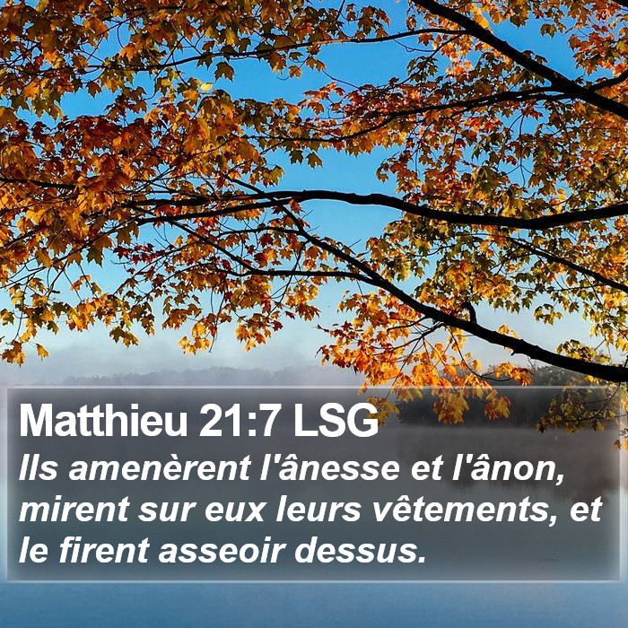 Matthieu 21:7 LSG Bible Study