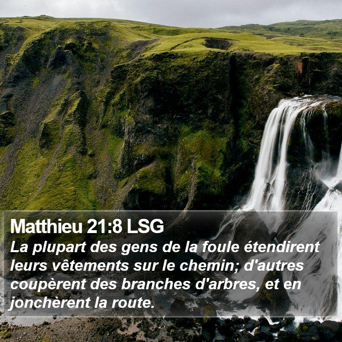 Matthieu 21:8 LSG Bible Study