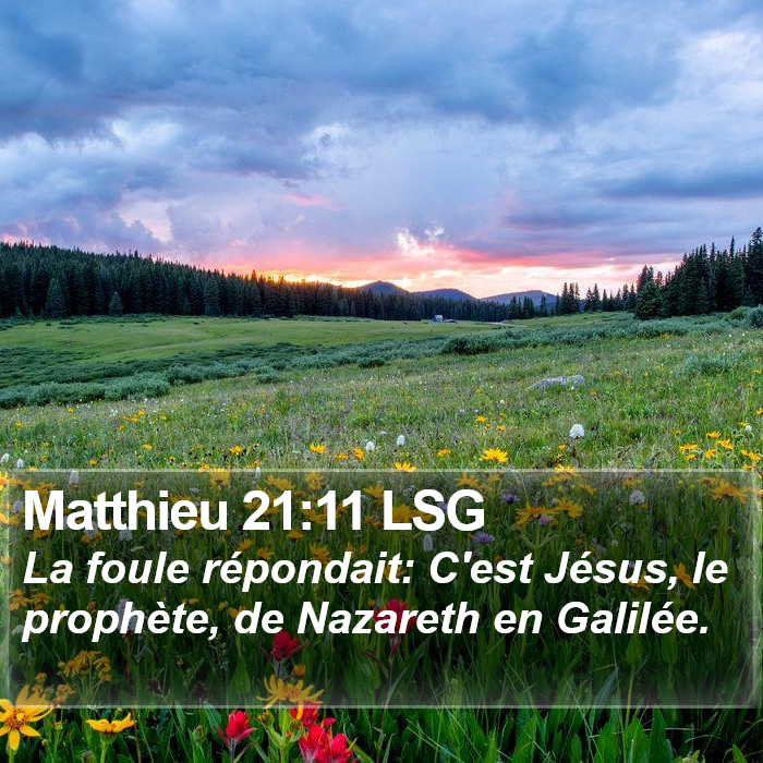 Matthieu 21:11 LSG Bible Study