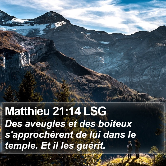 Matthieu 21:14 LSG Bible Study