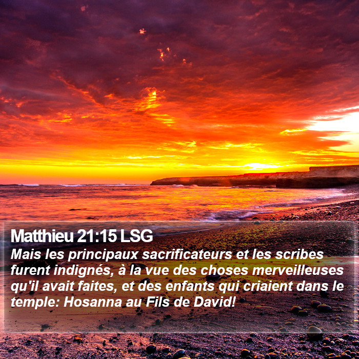 Matthieu 21:15 LSG Bible Study