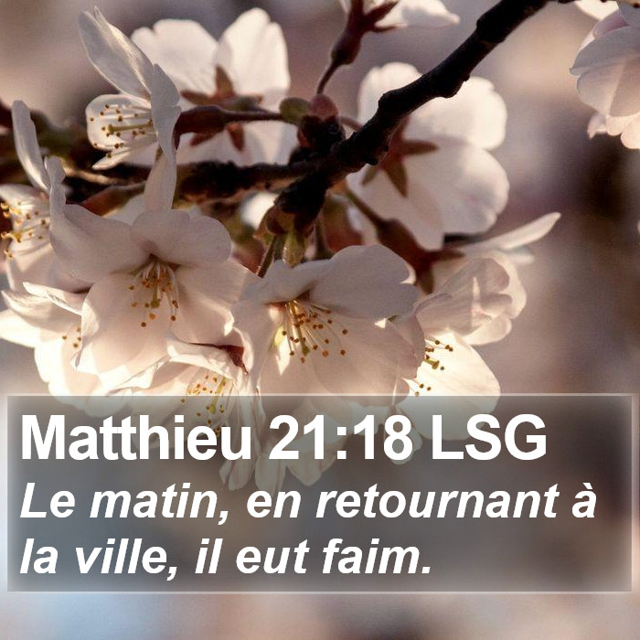 Matthieu 21:18 LSG Bible Study