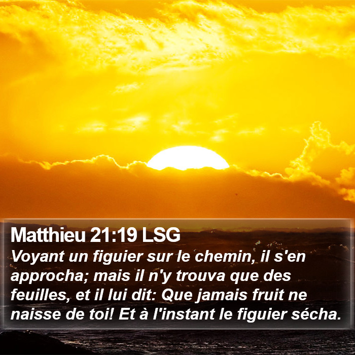 Matthieu 21:19 LSG Bible Study