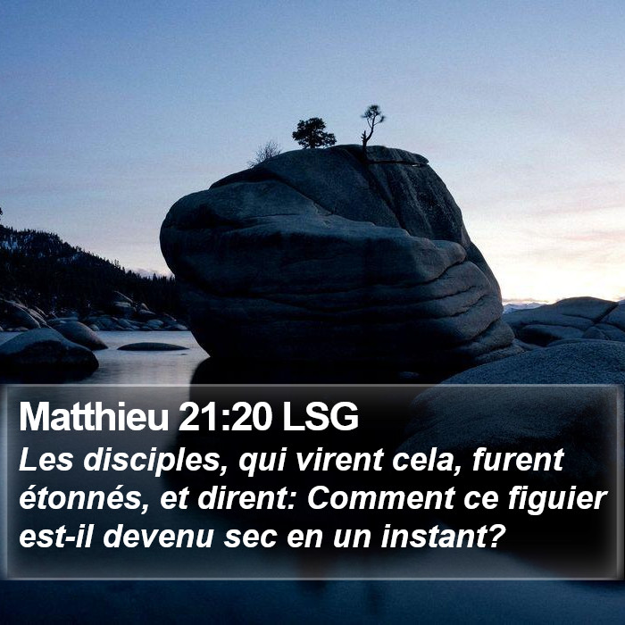 Matthieu 21:20 LSG Bible Study