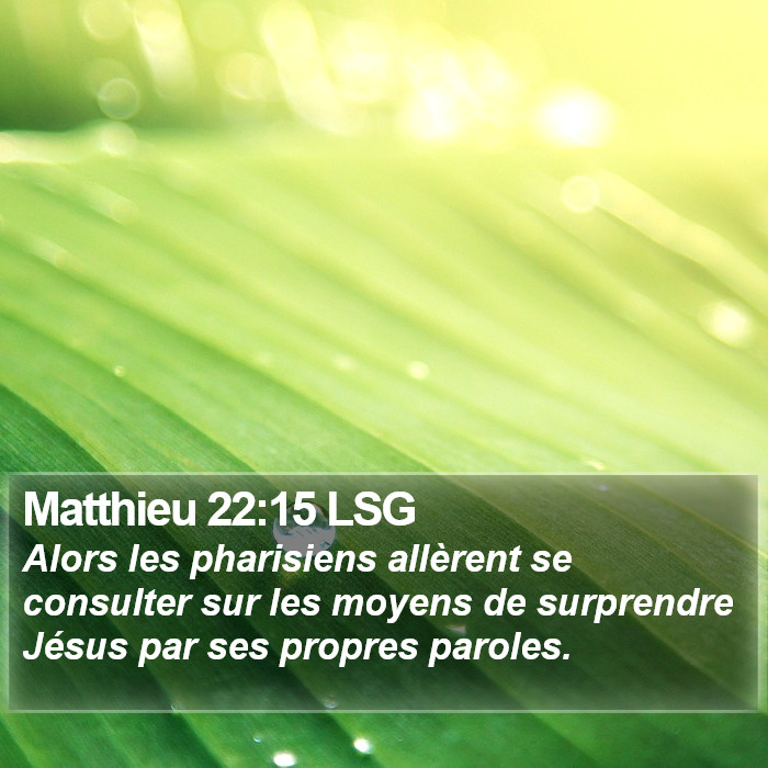 Matthieu 22:15 LSG Bible Study