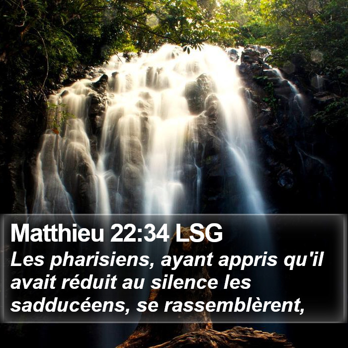 Matthieu 22:34 LSG Bible Study