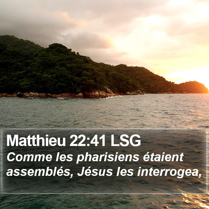 Matthieu 22:41 LSG Bible Study