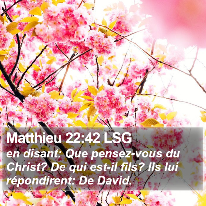 Matthieu 22:42 LSG Bible Study