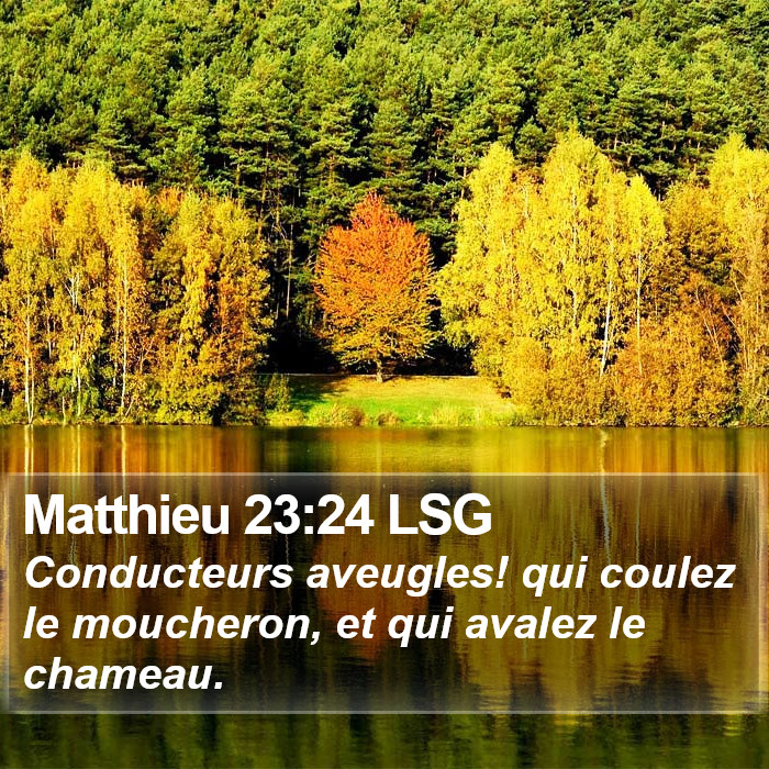 Matthieu 23:24 LSG Bible Study