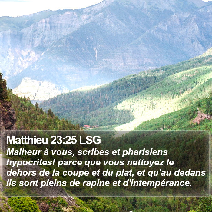 Matthieu 23:25 LSG Bible Study