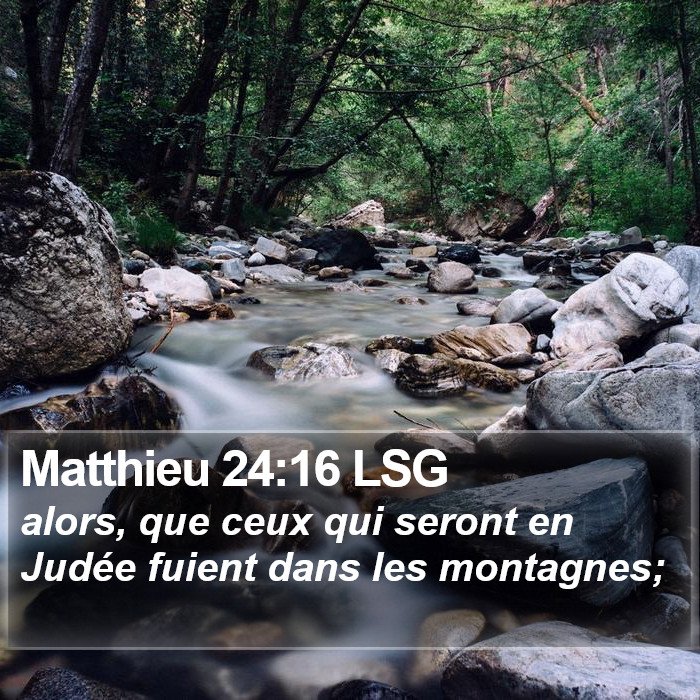 Matthieu 24:16 LSG Bible Study