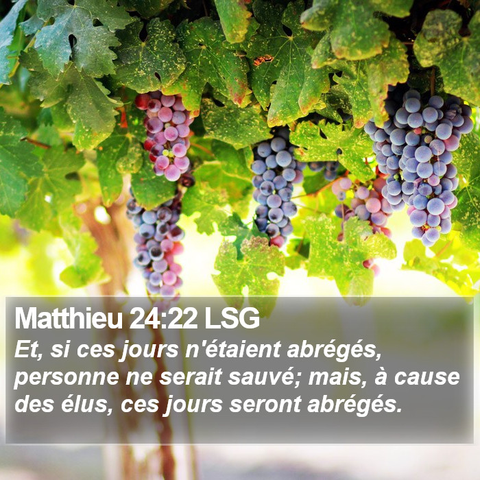 Matthieu 24:22 LSG Bible Study