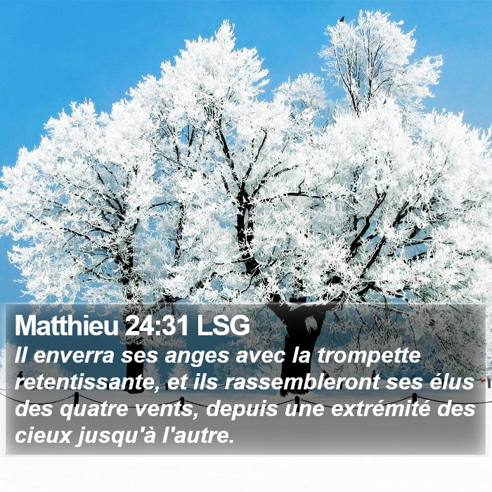 Matthieu 24:31 LSG Bible Study