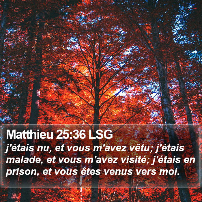 Matthieu 25:36 LSG Bible Study