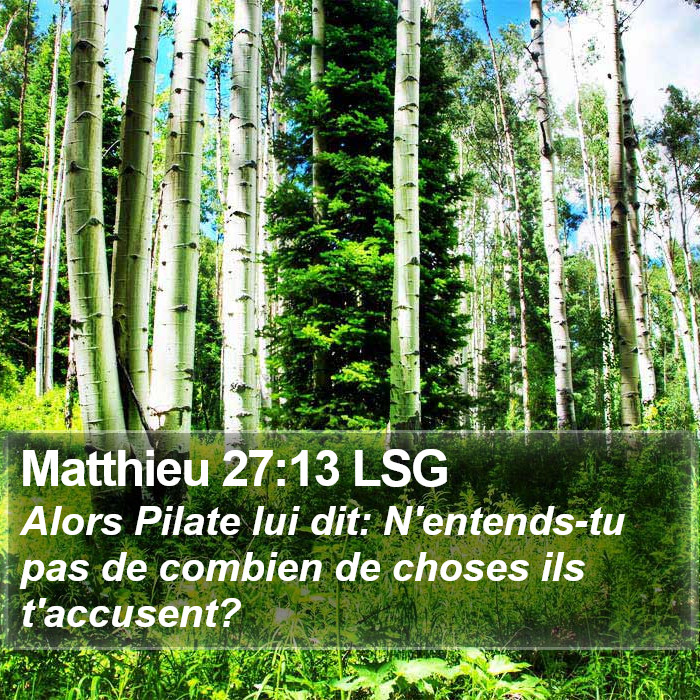 Matthieu 27:13 LSG Bible Study