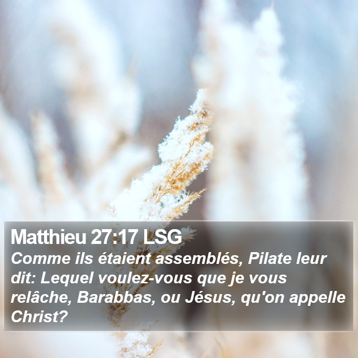 Matthieu 27:17 LSG Bible Study