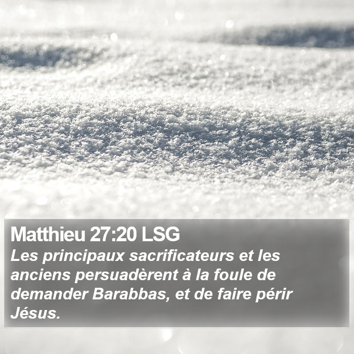 Matthieu 27:20 LSG Bible Study