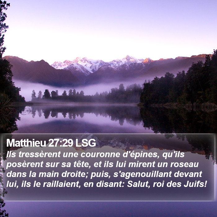 Matthieu 27:29 LSG Bible Study