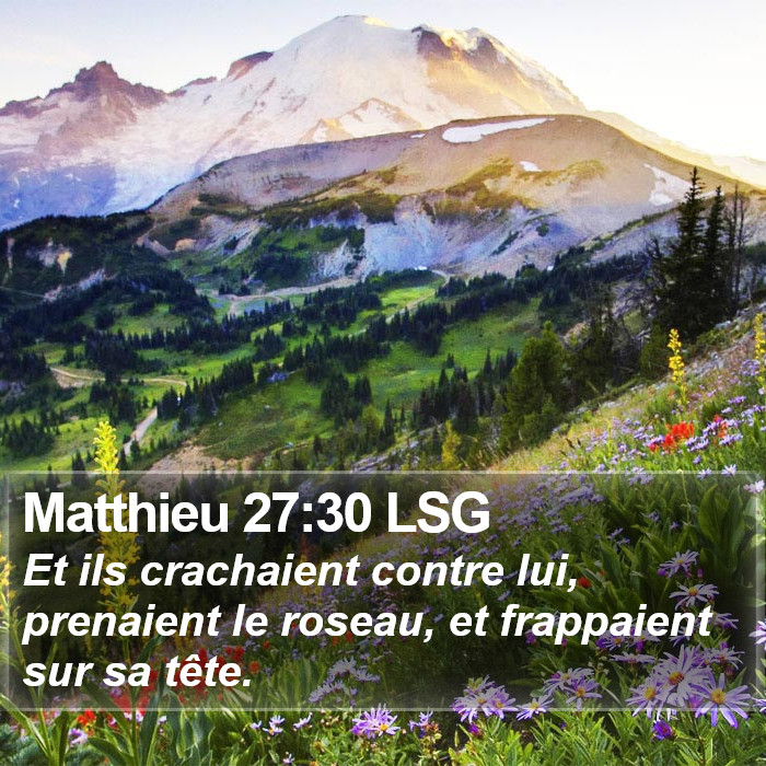 Matthieu 27:30 LSG Bible Study