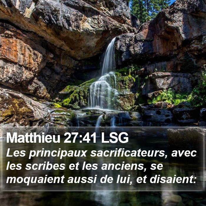 Matthieu 27:41 LSG Bible Study