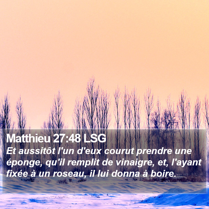 Matthieu 27:48 LSG Bible Study