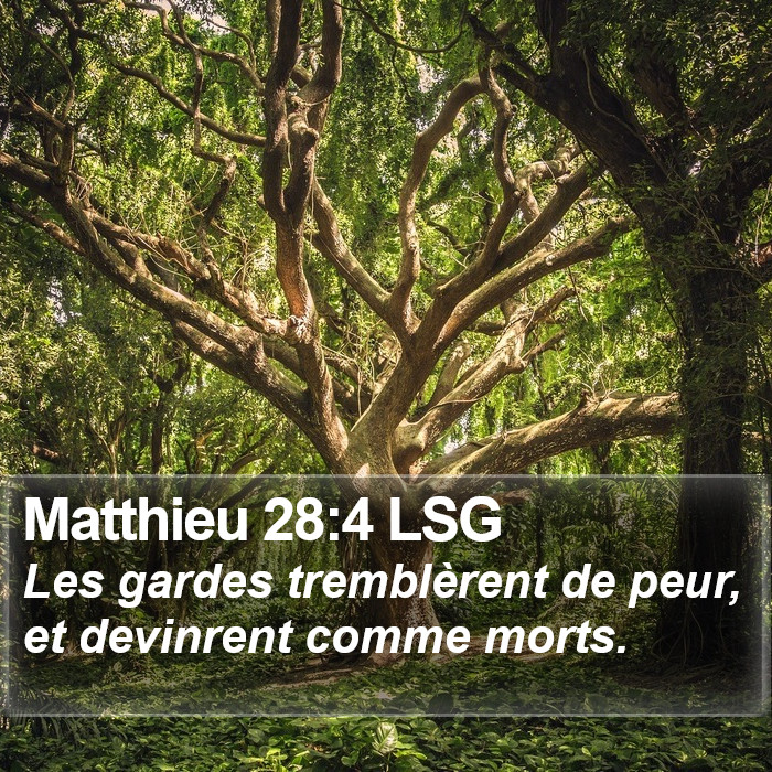 Matthieu 28:4 LSG Bible Study