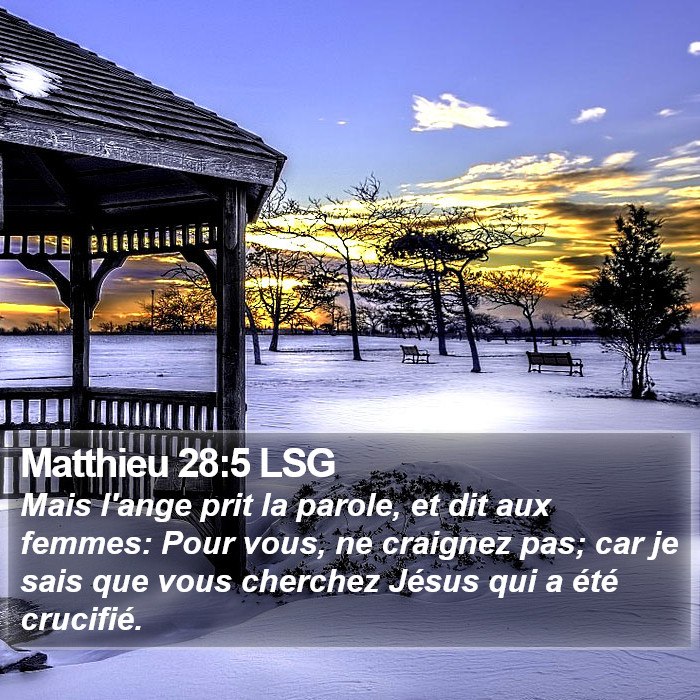 Matthieu 28:5 LSG Bible Study