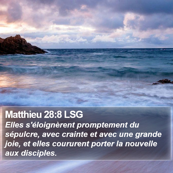 Matthieu 28:8 LSG Bible Study