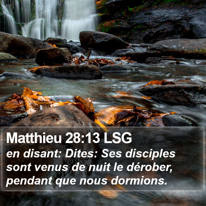 Matthieu 28:13 LSG Bible Study