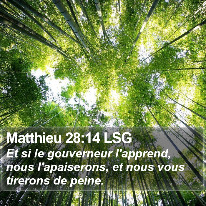 Matthieu 28:14 LSG Bible Study