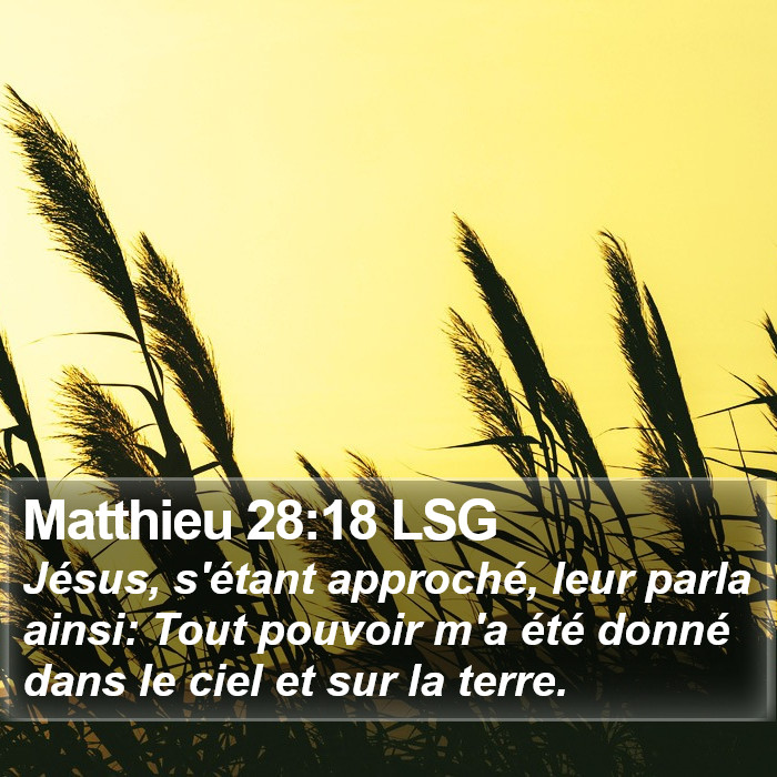 Matthieu 28:18 LSG Bible Study