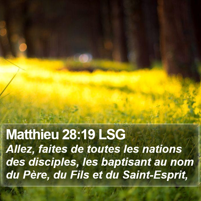 Matthieu 28:19 LSG Bible Study