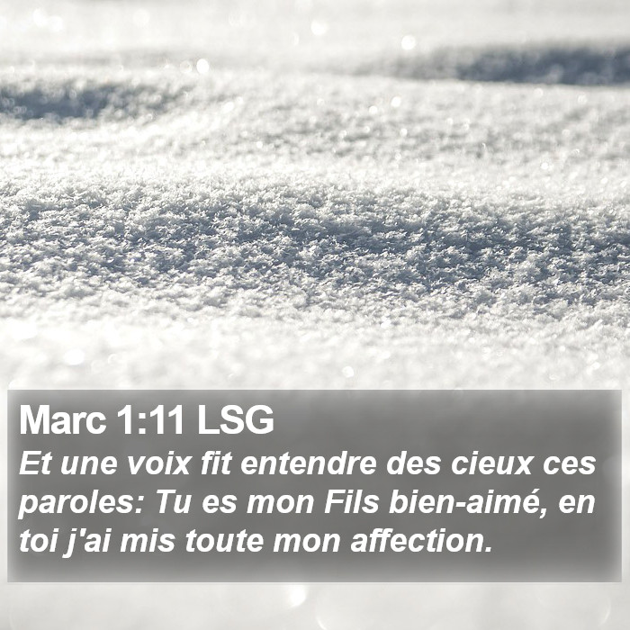 Marc 1:11 LSG Bible Study