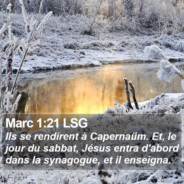 Marc 1:21 LSG Bible Study