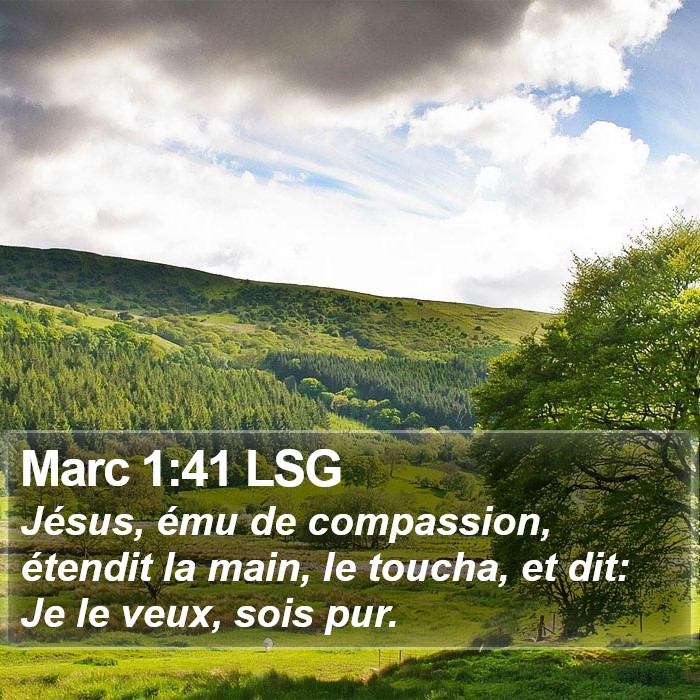 Marc 1:41 LSG Bible Study