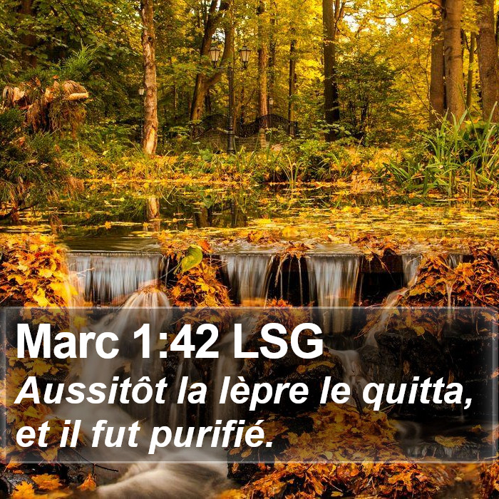 Marc 1:42 LSG Bible Study