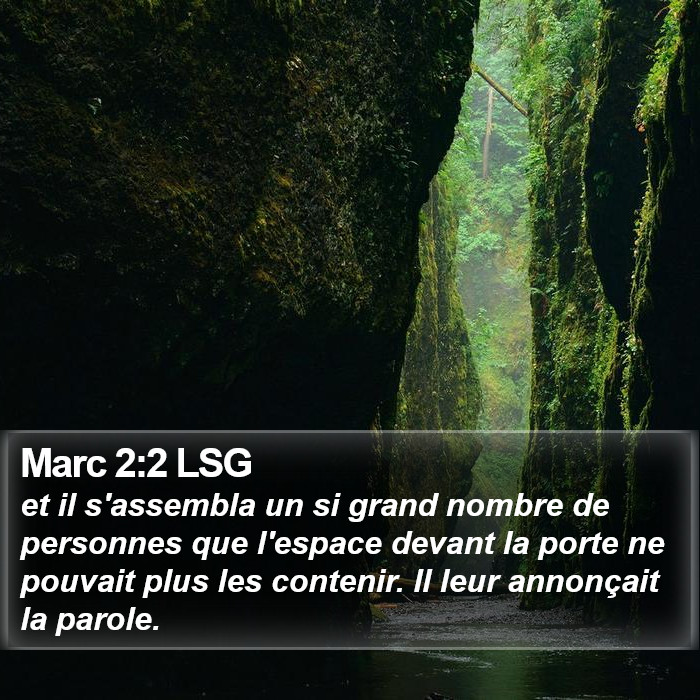 Marc 2:2 LSG Bible Study