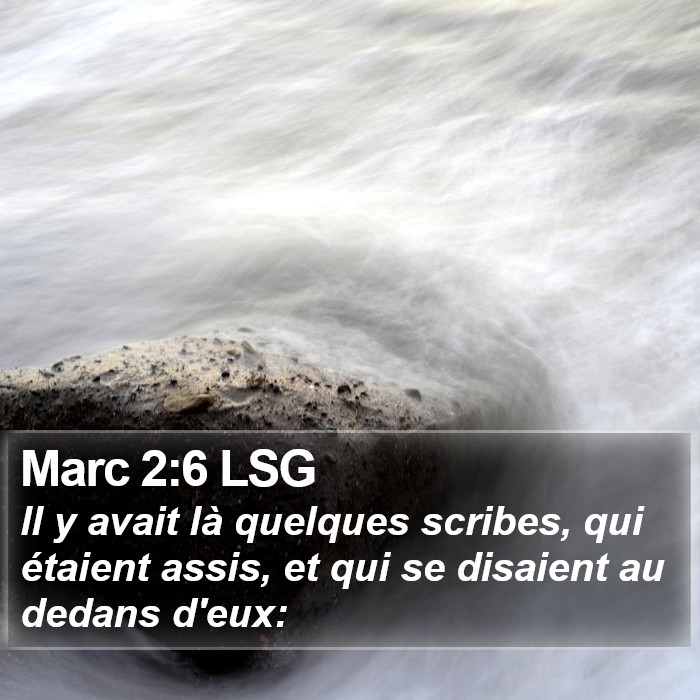 Marc 2:6 LSG Bible Study