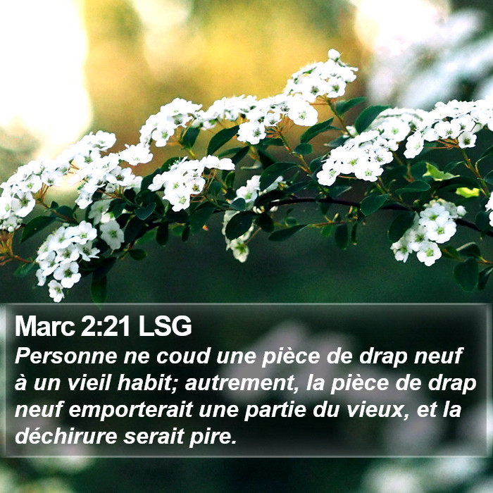 Marc 2:21 LSG Bible Study